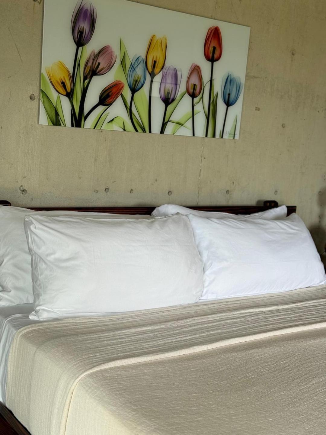 The Serene House Bed & Breakfast Лукильо Экстерьер фото